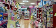 Toy House